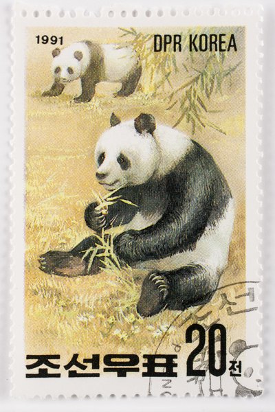 スタンプ/北朝鮮/Ailuropoda melanoleuca/Grand panda/Giant Panda 作： Augustus Kollner