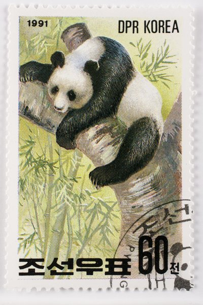 スタンプ/北朝鮮/Ailuropoda melanoleuca/Grand panda/Giant Panda 作： Augustus Kollner