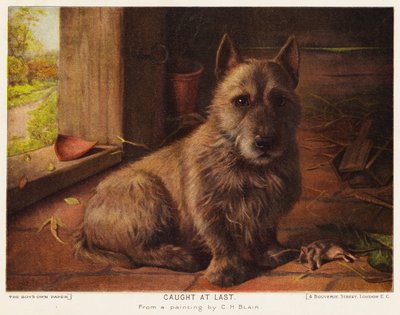 最後にキャッチ（カラーリソ） 作： Charles Henry Blair