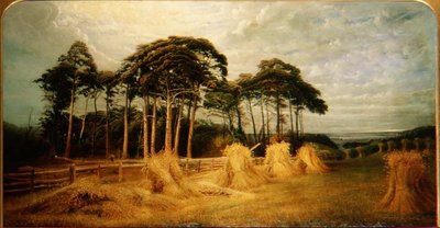 収穫後の小麦の束 作： Charles Henry Passey