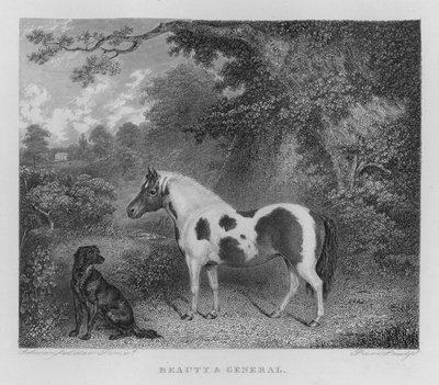 ビューティー＆ジェネラル（彫刻 作： Charles Henry Schwanfelder