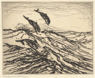ネズミイルカ 作： Charles Herbert Woodbury