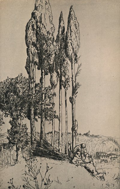 シエナ付近のヒノキの木、1903年 作： Charles Holroyd
