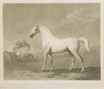 マンブリノ、ジョージスタッブス後、1788年（メゾティント） 作： Charles Howard Hodges