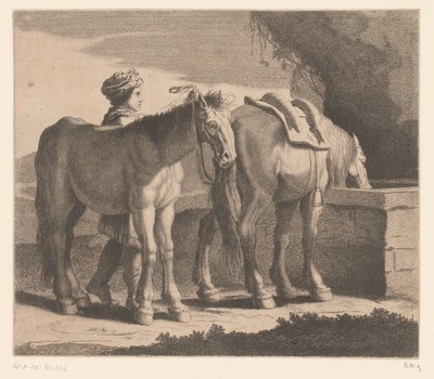 馬を飲む Masete de Normandie (オブジェクトのタイトル) 動物シリーズ（シリーズタイトル） 作： Charles II Errard (attributed to)