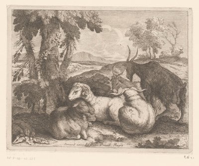 木の下の羊とヤギ 動物シリーズ（シリーズタイトル） 作： Charles II Errard (attributed to)