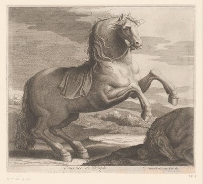 馬の飼育 Coursier de Naples (オブジェクトのタイトル) 動物シリーズ（シリーズタイトル） 作： Charles II Errard (attributed to)