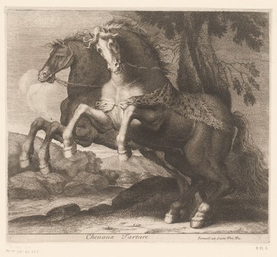 跳ね馬 Chevaux Tartare (オブジェクトのタイトル) 動物シリーズ（シリーズタイトル） 作： Charles II Errard (attributed to)