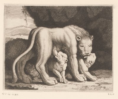 授乳中の雌ライオン 動物シリーズ（シリーズタイトル） 作： Charles II Errard (attributed to)