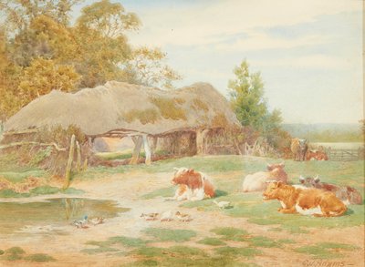 牛の休息（水彩） 作： Charles James Adams