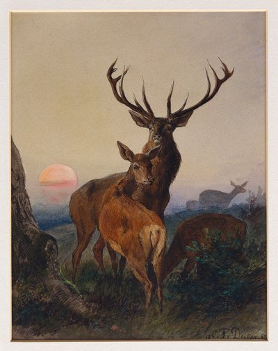 1865年の日没時の樹木が茂った風景の中の鹿と鹿 作： Charles Jones