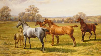 馬と子馬のフィールド 作： Charles Jones