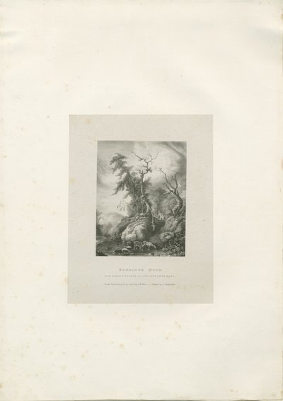 Himley Estate-&39;Bagridge Wood &39;：lithograph、nd [1789-1850]（印刷） 作： Charles Joseph Hullmandel