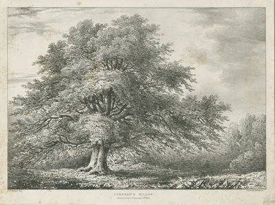 リッチフィールド-["Dr. Johnson" s "]ウィローツリー：リトグラフ、nd [1789-1850] 作： Charles Joseph Hullmandel