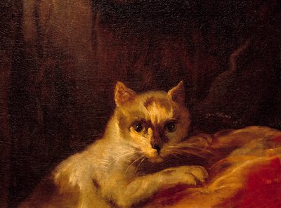 マドモアゼル・ド・シャロレ 猫を表すディテール絵画：シャルル・ジョゼフ・ナトワール（Charles-Joseph Natoire 作： Charles Joseph Natoire