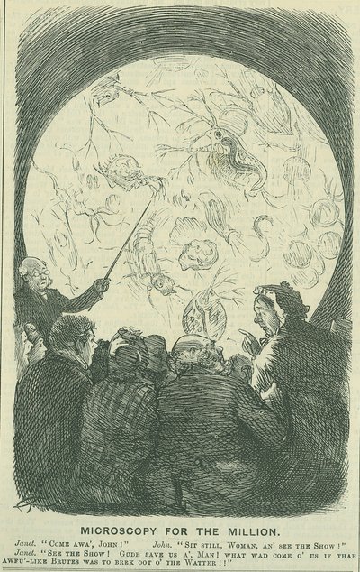 百万人のための顕微鏡」。1878年（彫刻 作： Charles Keene