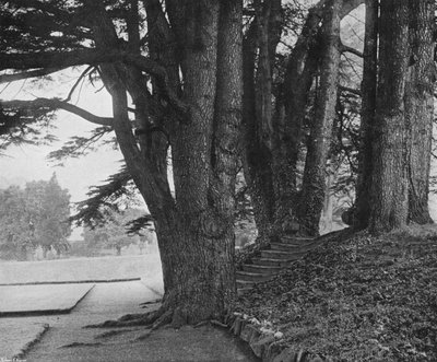 ガーデンステップス（モノクロ写真 作： Charles Latham