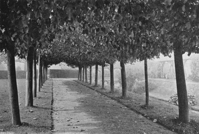The Pleached Walk（モノクロ写真 作： Charles Latham