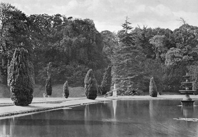 イチイの影（モノクロ写真 作： Charles Latham