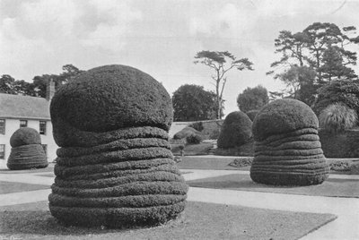Yews Like Concertinas 作： Charles Latham