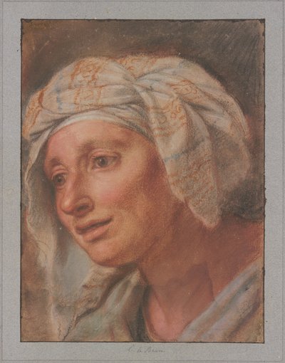  作： Charles Le Brun