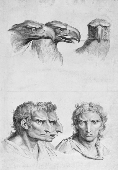イーグルの頭と男の類似点、ル・ブランの「描き始めた人のためのポートレートブック」から 作： Charles Le Brun