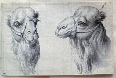 2頭のラクダの頭部の習作 シャルル・ルブラン（ル・ブラン）（1619-1690）による素描 17世紀寸法0.22x0.32 m パリ、ルーヴル美術館 作： Charles Le Brun