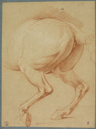 馬の後ろ足 作： Charles Le Brun