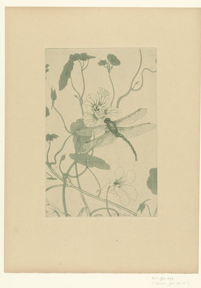 キンレンカの花のトンボ フラワーズ レプルーヴ（シリーズタイトル） 作： Charles Louis Houdard