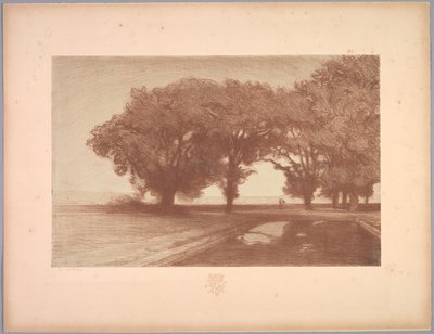 風景のスイート: 風景、プレート 8、メモ、パンジー 作： Charles Marie Dulac