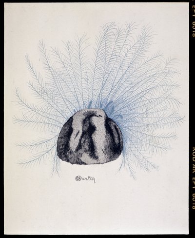 父方の帽子 - Marcelle Demayの「La Mode en 1912」、Charles Martin（1884-1934）のイラストレーション 作： Charles Martin