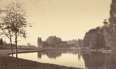 ブローニュの森、1858年。 作： Charles Marville