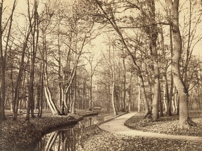  作： Charles Marville
