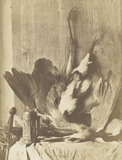 ゲームの静物、c.1853-55（アルブミン化塩紙プリント） 作： Charles Marville