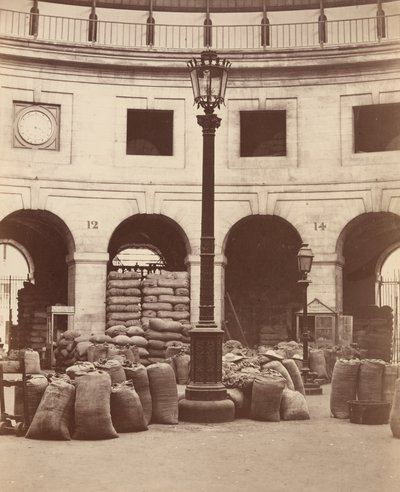  作： Charles Marville