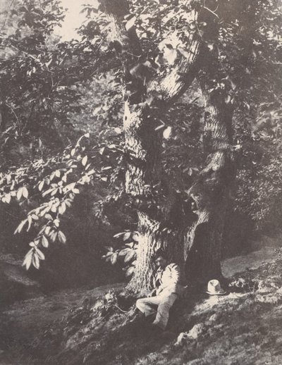 栗の木のふもとに横たわる男、1850～53年。 作： Charles Marville