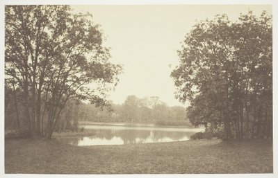 無題 作： Charles Marville