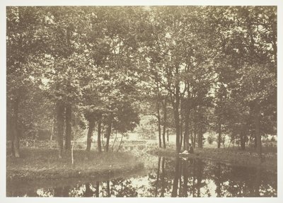 無題 作： Charles Marville
