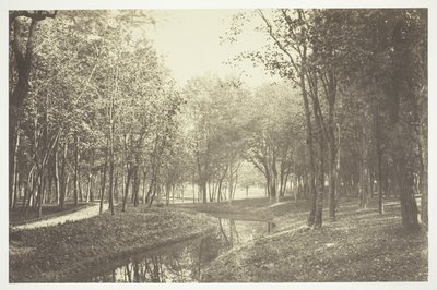 無題 作： Charles Marville