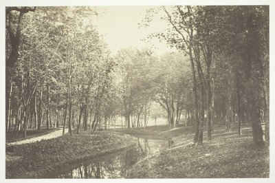 無題、c。 1850. [パリの公園、ブローニュの森の水辺の木々]。 作： Charles Marville