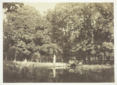 無題、c。 1850. [パリの公園、ブローニュの森の水辺の木々]。 作： Charles Marville