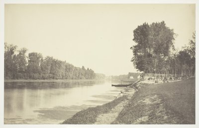 無題、c。 1850. [パリの公園、ブローニュの森の水辺の木々]。 作： Charles Marville
