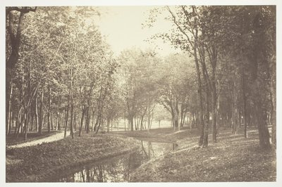 無題 作： Charles Marville