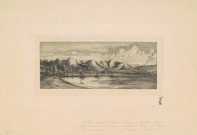 ニュージーランド、バンクス半島 (コリアーズ ポイント、ニュージーランドのビュー) 作： Charles Meryon