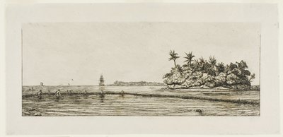 オセアニア：釣り、ウエアまたはウォリスグループのヤシの木のある島の近く、1845年 作： Charles Meryon