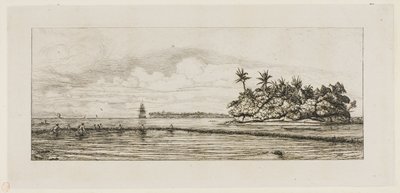 オセアニア：釣り、ウエアまたはウォリスグループのヤシの木のある島の近く、1845 作： Charles Meryon
