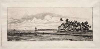オセアニア: Uea または Wallis グループのヤシのある島の近くでの釣り 作： Charles Meryon
