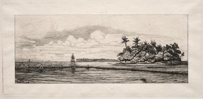 オセアニア：UeaまたはWallisグループのヤシの木のある島の近くでの釣り、1863。 作： Charles Meryon