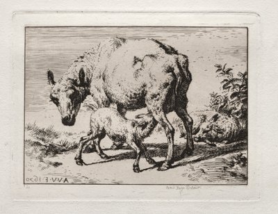 羊2頭の羊、1850年。 作： Charles Meryon