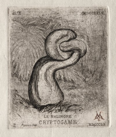 The Sickly Cryptogam、1860。 作： Charles Meryon